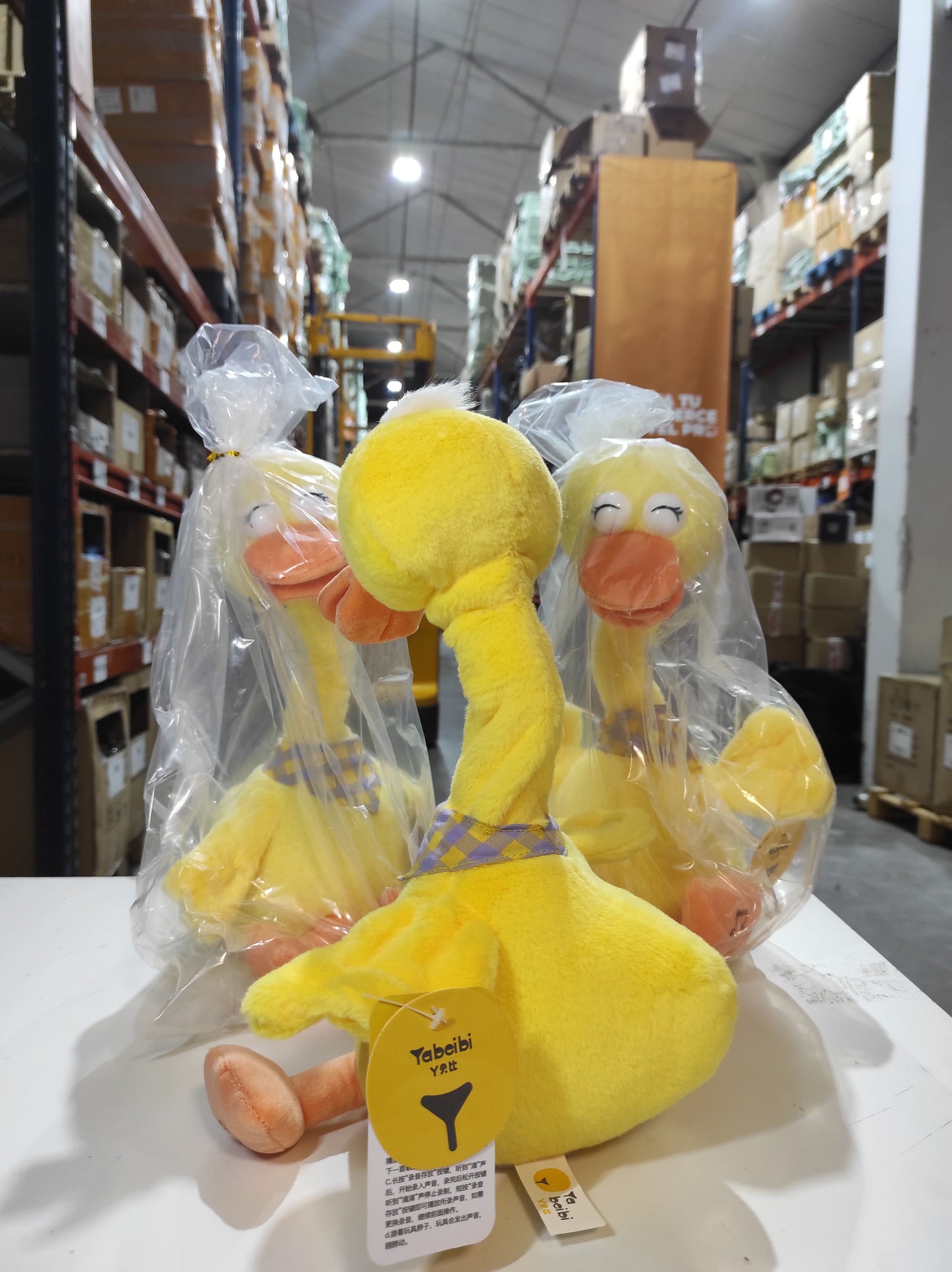 Pato bailarín hablador